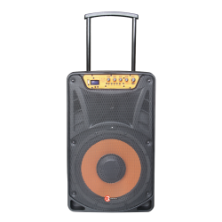 RadioShack 12-inch PA Speaker with FM Radio, Rechargeable Battery, and Tripod 4001941