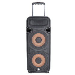 RadioShack Tower Speaker with Lights, FM Radio, and Rechargeable Battery 4001942.