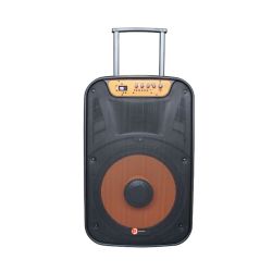 RadioShack 15-inch Speaker with Lights, FM Radio, and Rechargeable Battery 4001945