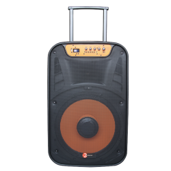 RadioShack 15-inch Speaker with Lights, FM Radio, and Rechargeable Battery 4001945